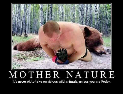 fedor_bear_armbar.jpg